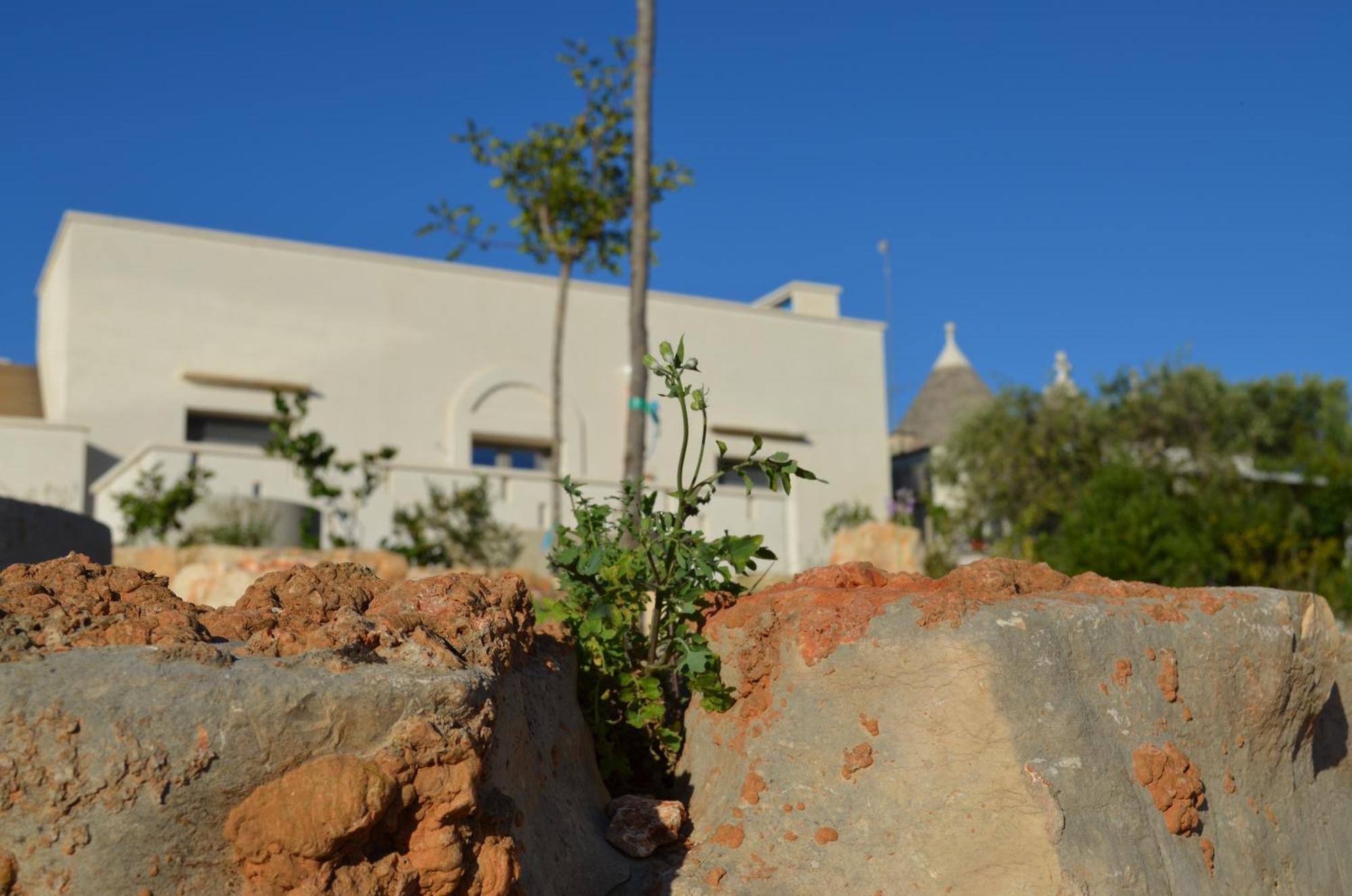 B&B Fuga Al Trullo Ostuni Ngoại thất bức ảnh
